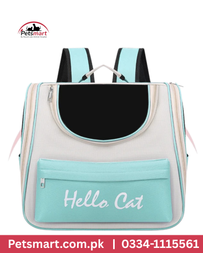 Sea green bag pack