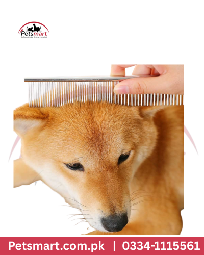 Single sided Steel comb