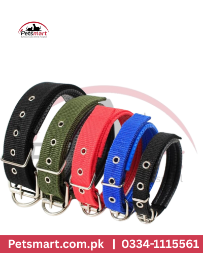 Soft Puppy collars
