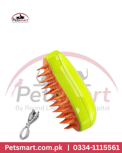 Spray massage brush
