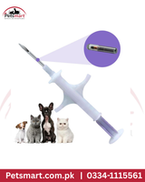 Pet Microchipping Service for Cats & Dogs
