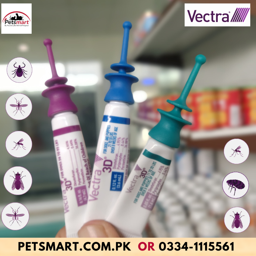VECTRA 3D for dogs