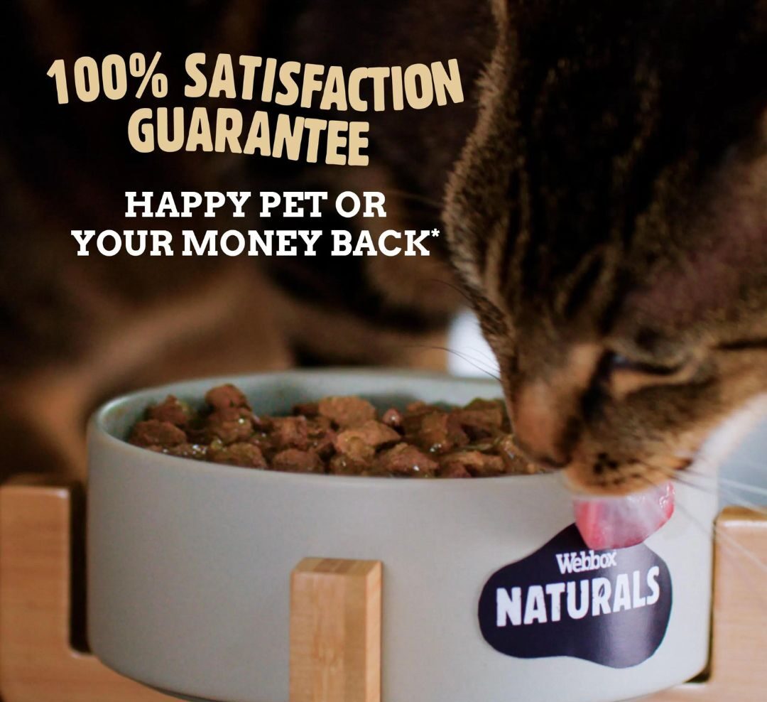 Webbox Cat Meat In Gravy Jelly