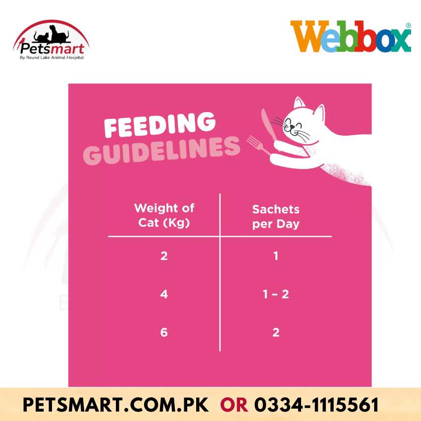 Webbox Lick-e-Lix Salmon Cat Treats