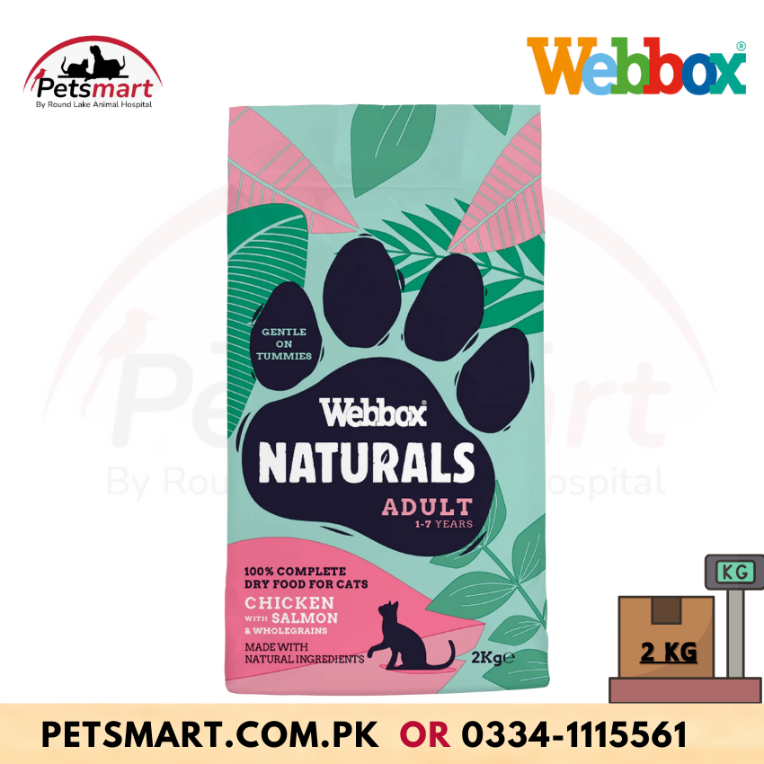Webbox Naturals Adult Cat with Chicken and Salmon Dry Food
