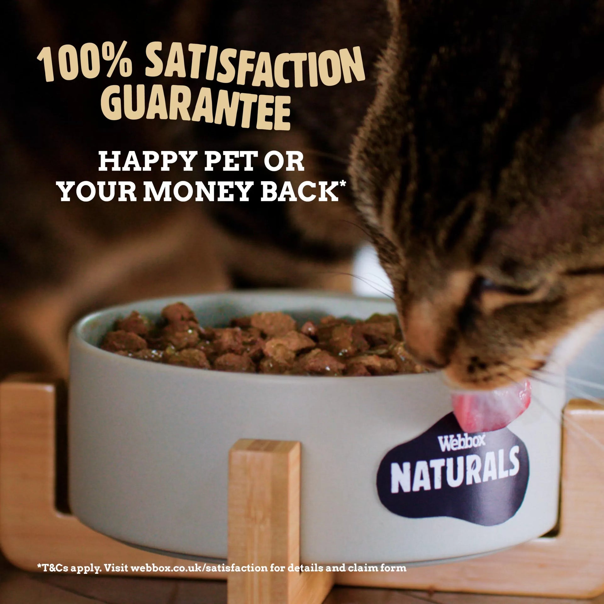 Webbox Naturals Chicken Mousse Cat Food