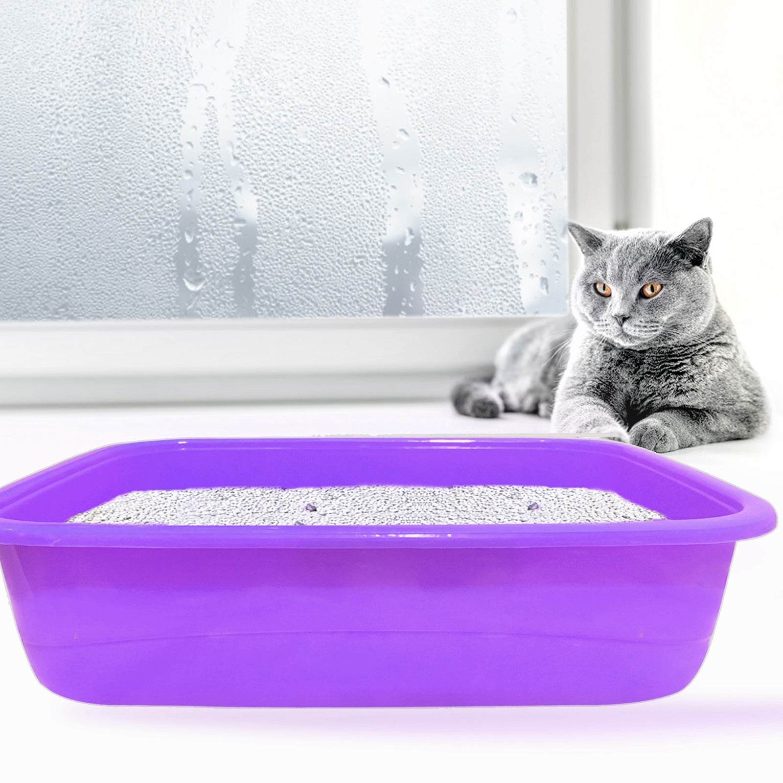 Litter Tray (Small, Medium, Large) - Litter Tray Large