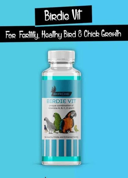Birdie vit