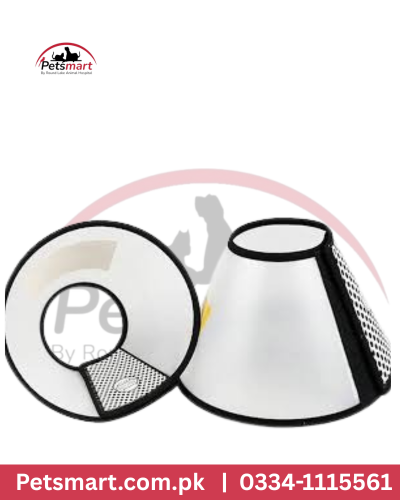 White Plastic E-collar Small
