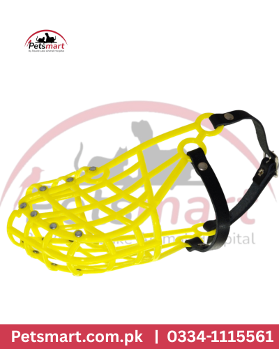 Yellow color muzzle
