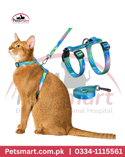 Adjustable cat harness and leash with collar set for small and medium cats