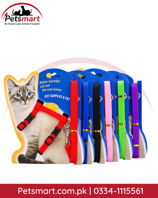 Adjustable cat harness with matching leash in assorted colors