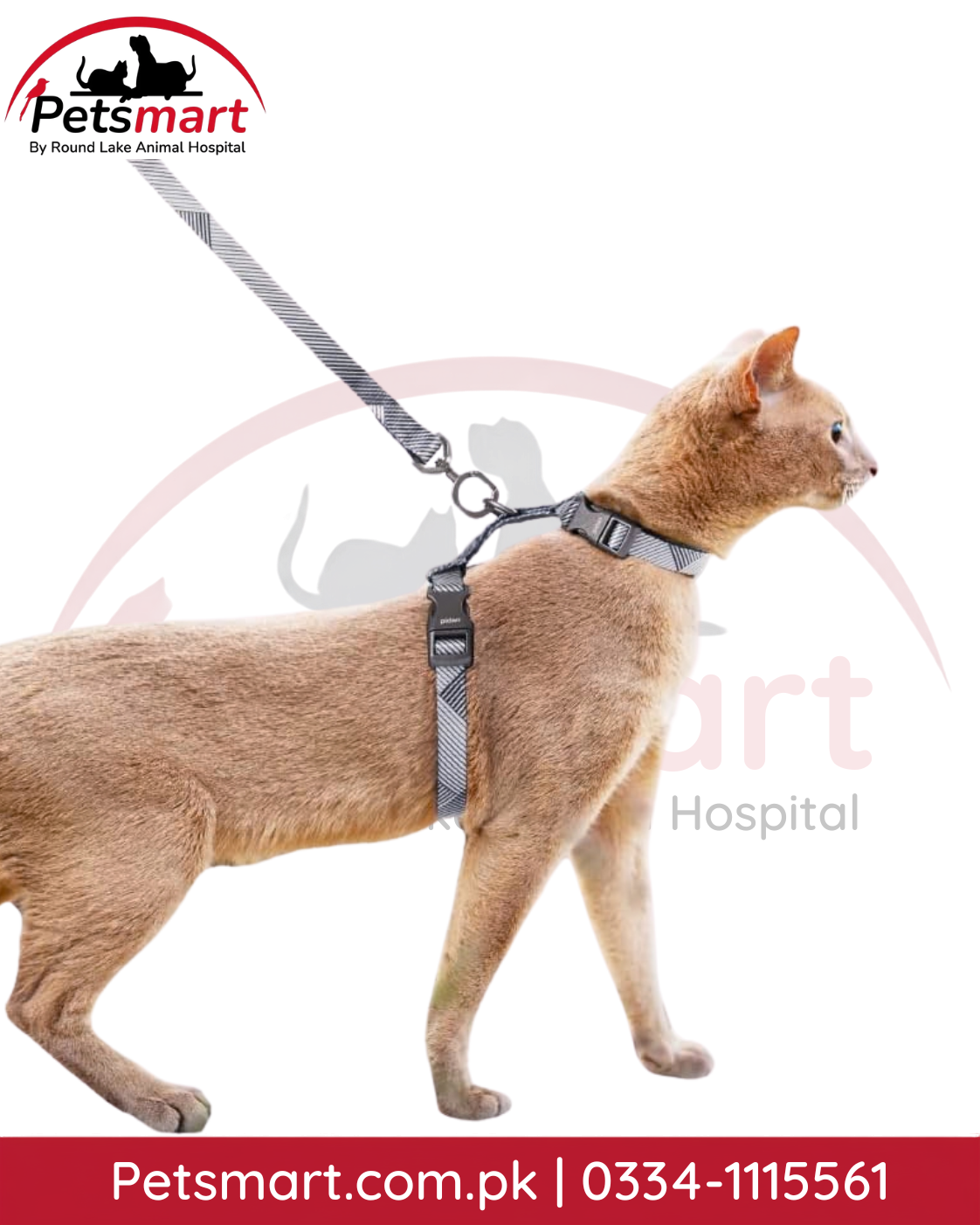 Adjustable cat harness and leash with collar set for small and medium cats