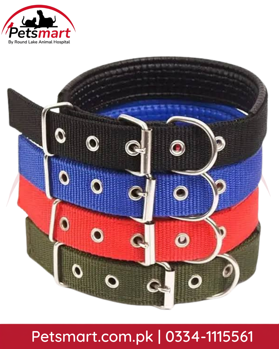 Adjustable dog collars in assorted colors with metal buckle and D-ring