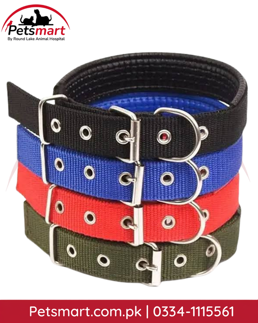 Adjustable dog collars in assorted colors with metal buckle and D-ring