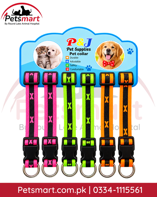 Adjustable nylon puppy collars with buckle and metal D-ring in pink green and orange colors