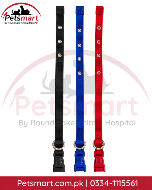 Assorted red blue and black adjustable nylon puppy collars for small dogs