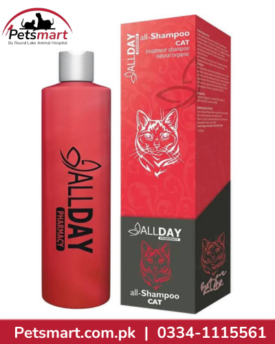 AllDay All-Shampoo Cat treatment shampoo 250ml bottle and box