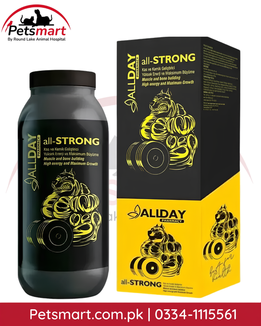 ALLDAY All-Strong Muscle and Bone Developer for Dogs 500ml liquid supplement with bottle and box
