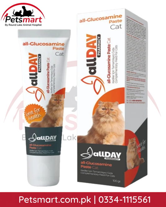 ALLDAY Glucosamine Vitamin Paste for Cats 100g tube and box for joint and mobility support