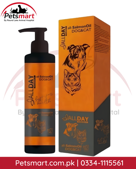 ALLDAY Salmon Oil for Cats and Dogs 200ml pump bottle and box