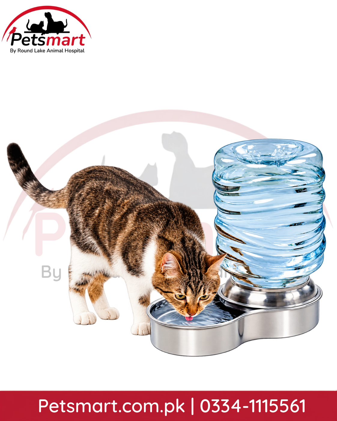 Automatic gravity water dispenser with stainless steel bowl for cats and dogs