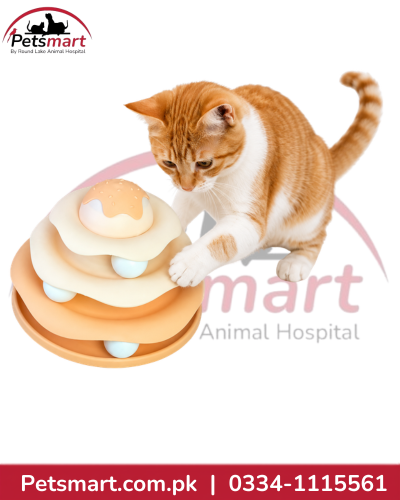 Beige multi-level interactive cat track toy with light blue rolling balls