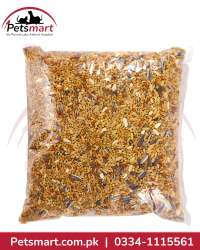 Big Bird Seed Mix for lovebirds Java birds budgies cockatiels and medium to large birds