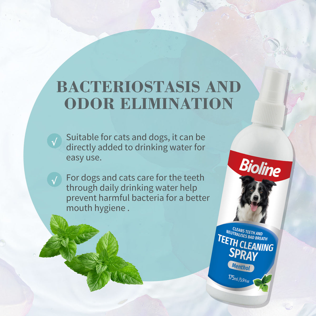 1. Bioline Teeth Cleaning Spray for dogs and cats to help clean teeth and freshen breath