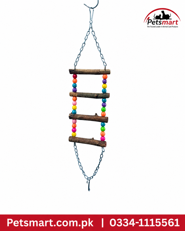 Colourful bird 4 step bridge swing hanging wooden ladder toy for pet birds