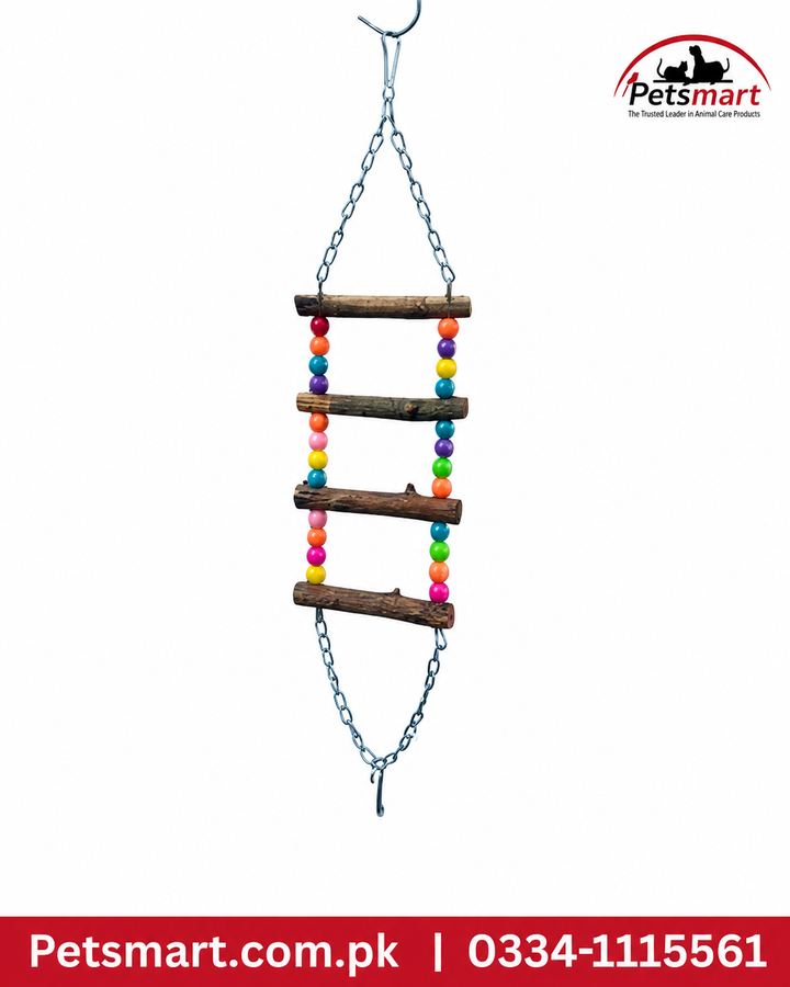 Colourful bird 4 step bridge swing hanging wooden ladder toy for pet birds