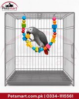 Bird Balance Beam hanging wooden toy 4 by 80cm with colourful beads and blocks inside cage
