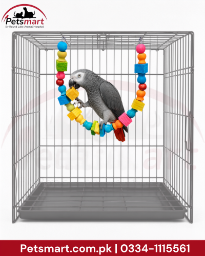 Bird Balance Beam hanging wooden toy 4 by 80cm with colourful beads and blocks inside cage

