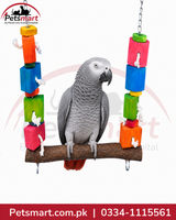A grey parrot perched on a wooden hanging toy with colorful stacked blocks in orange, yellow, green, blue, and pink, shown against a white background with a Petsmart logo.Bird Blocks natural wooden swing 30 by 31cm with colourful blocks rope and hanging chains