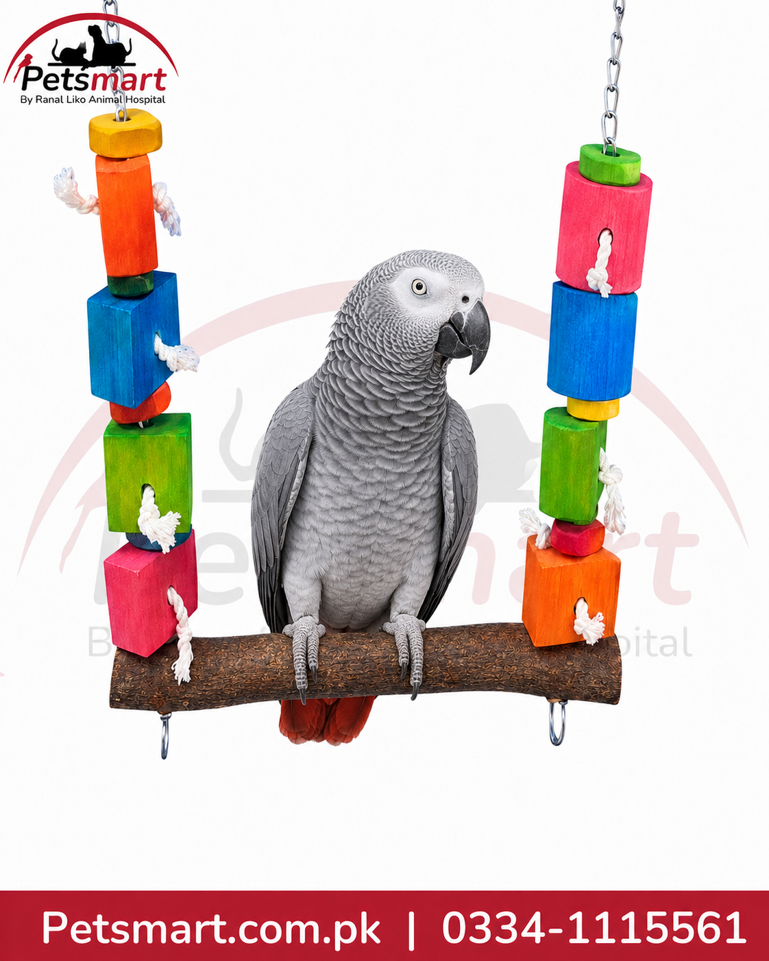 A grey parrot perched on a wooden hanging toy with colorful stacked blocks in orange, yellow, green, blue, and pink, shown against a white background with a Petsmart logo.Bird Blocks natural wooden swing 30 by 31cm with colourful blocks rope and hanging chains
