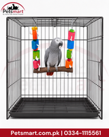 Bird Blocks natural wooden swing 30 by 31cm with colourful blocks rope and hanging chains,african grey parrot on it, inside cage
