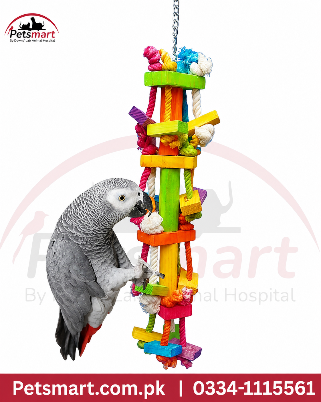 Bird Climbing Wall hanging toy 18 by 63cm with colourful wooden pieces and rope for cage enrichment with african grey playing.