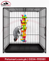 A gray parrot perched inside a black metal wire cage, interacting with a colorful hanging toy. The Petsmart logo is visible in the top-left corner, and a red contact banner is at the bottom.