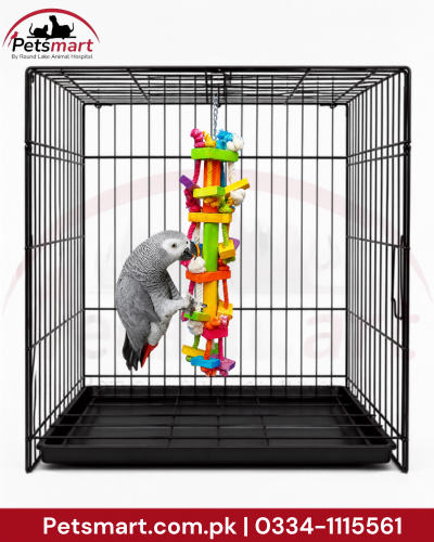 A gray parrot perched inside a black metal wire cage, interacting with a colorful hanging toy. The Petsmart logo is visible in the top-left corner, and a red contact banner is at the bottom.
