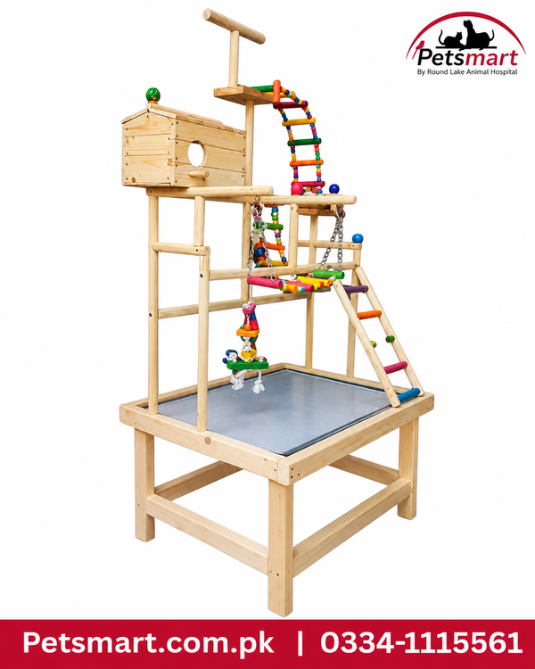Bird colorful ladder play arena stand with wooden hut perches and multi-level platforms