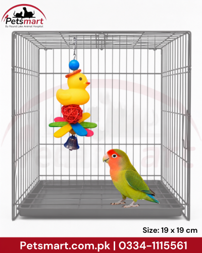 A green and yellow lovebird standing inside a gray metal bird cage with a hanging yellow rubber duck toy. The Petsmart logo is visible in the top left, and size information is shown at the bottom right.
