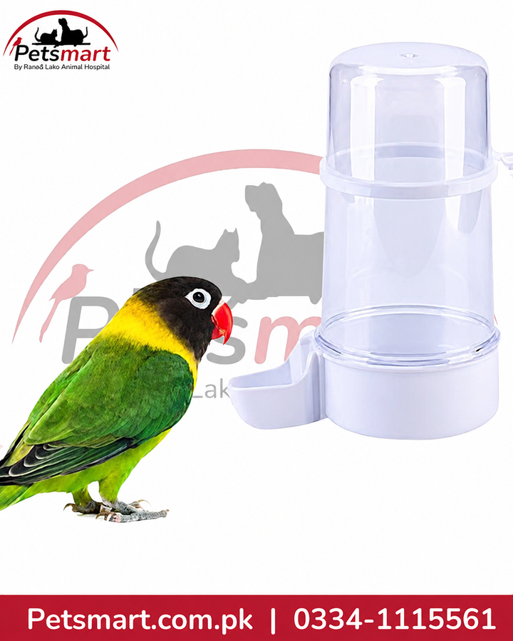 bird food and water dispenser for cage mounting