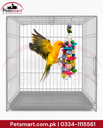 Bird Hanging Blocks toy measuring 12 by 40cm for climbing and cage enrichment