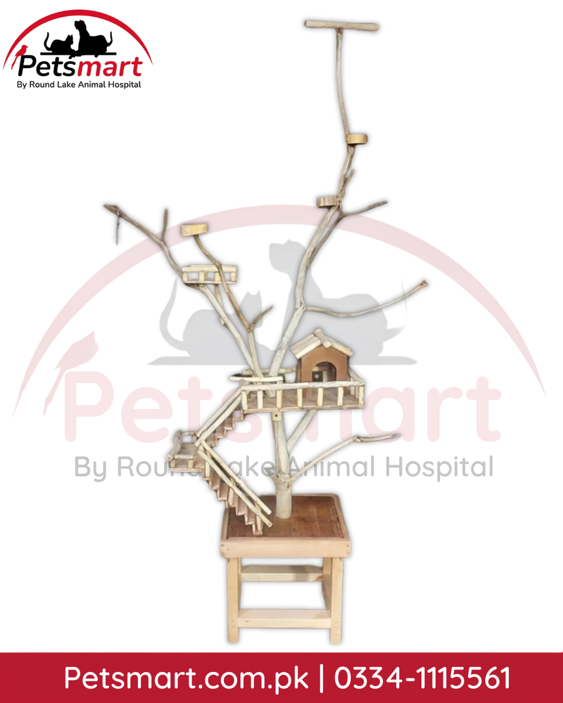 Bird java tree stand with wooden hut ladders platforms and natural branch perches