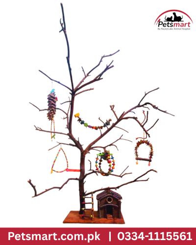 Bird sparrow hut stand with natural wooden branches and strong wooden base