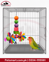 A gray metal bird cage with a colorful hanging toy inside, shown with a green and peach lovebird standing on the cage floor. The Petsmart logo is visible in the top left, and size and contact information are shown at the bottom.