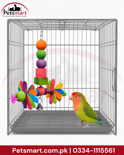 A gray metal bird cage with a colorful hanging toy inside, shown with a green and peach lovebird standing on the cage floor. The Petsmart logo is visible in the top left, and size and contact information are shown at the bottom.