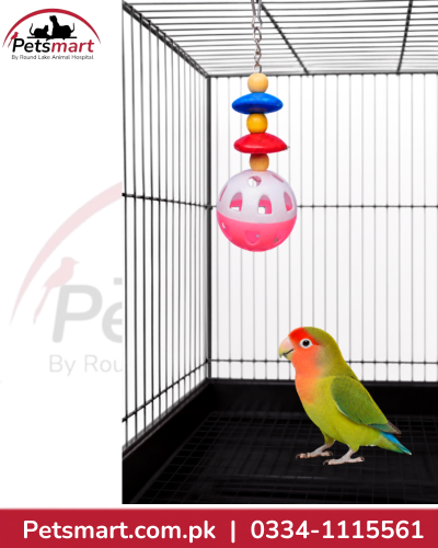 Bird Super Nova colourful hanging toy measuring 5 by 17cm for pet bird cages inside cage for display
