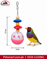 A colorful bird toy with a metal clip at the top, featuring stacked wooden beads in blue, yellow, and red, and a pink-and-white ball at the bottom. A small multicolored bird stands beside it on a white background, with dimension lines showing 17 cm height and 5 cm width.