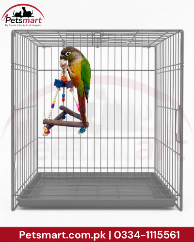 A small green and orange parrot perched inside a gray metal pet cage with a hanging rope toy, shown on a white background with Petsmart branding.